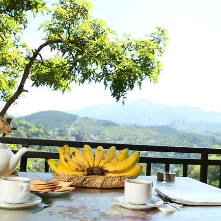 Serene Homestay Ella Zewnętrze zdjęcie