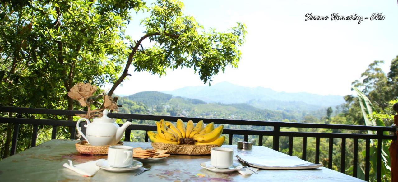 Serene Homestay Ella Zewnętrze zdjęcie