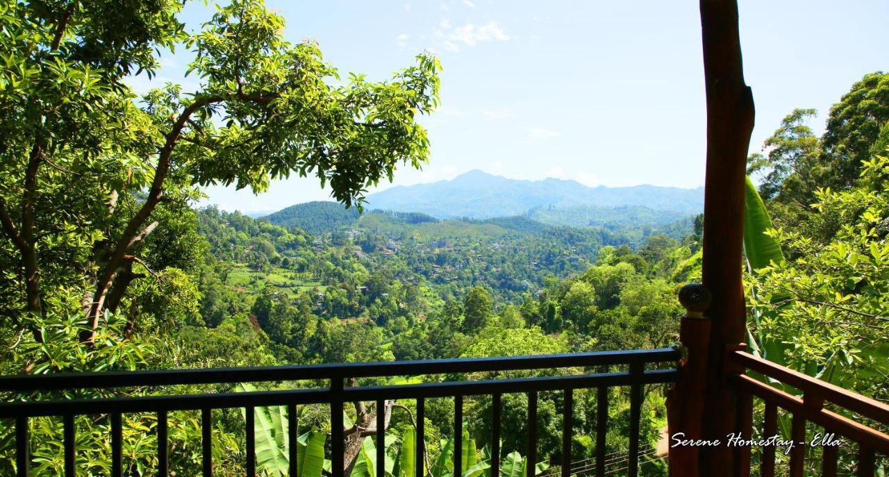 Serene Homestay Ella Zewnętrze zdjęcie