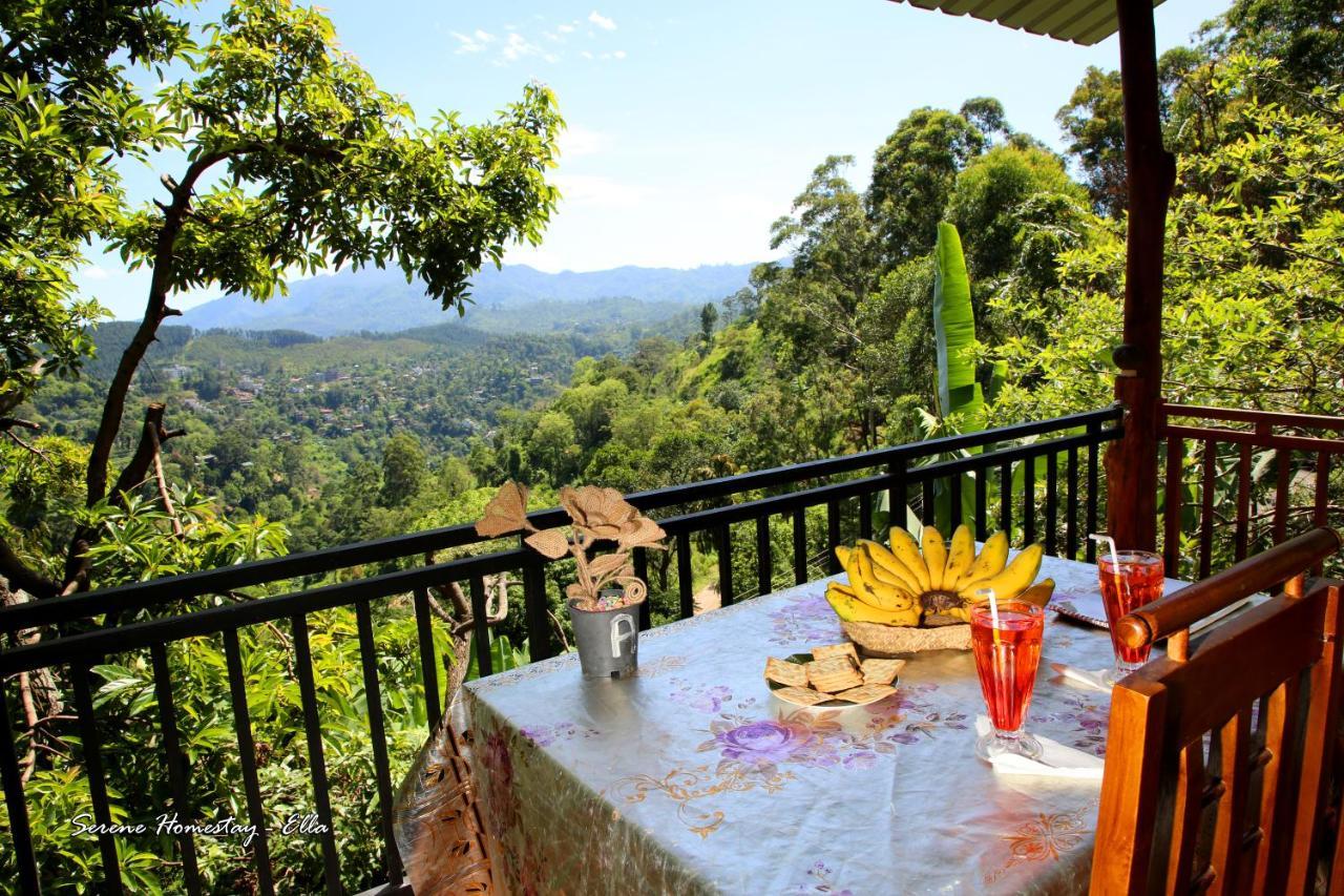 Serene Homestay Ella Zewnętrze zdjęcie