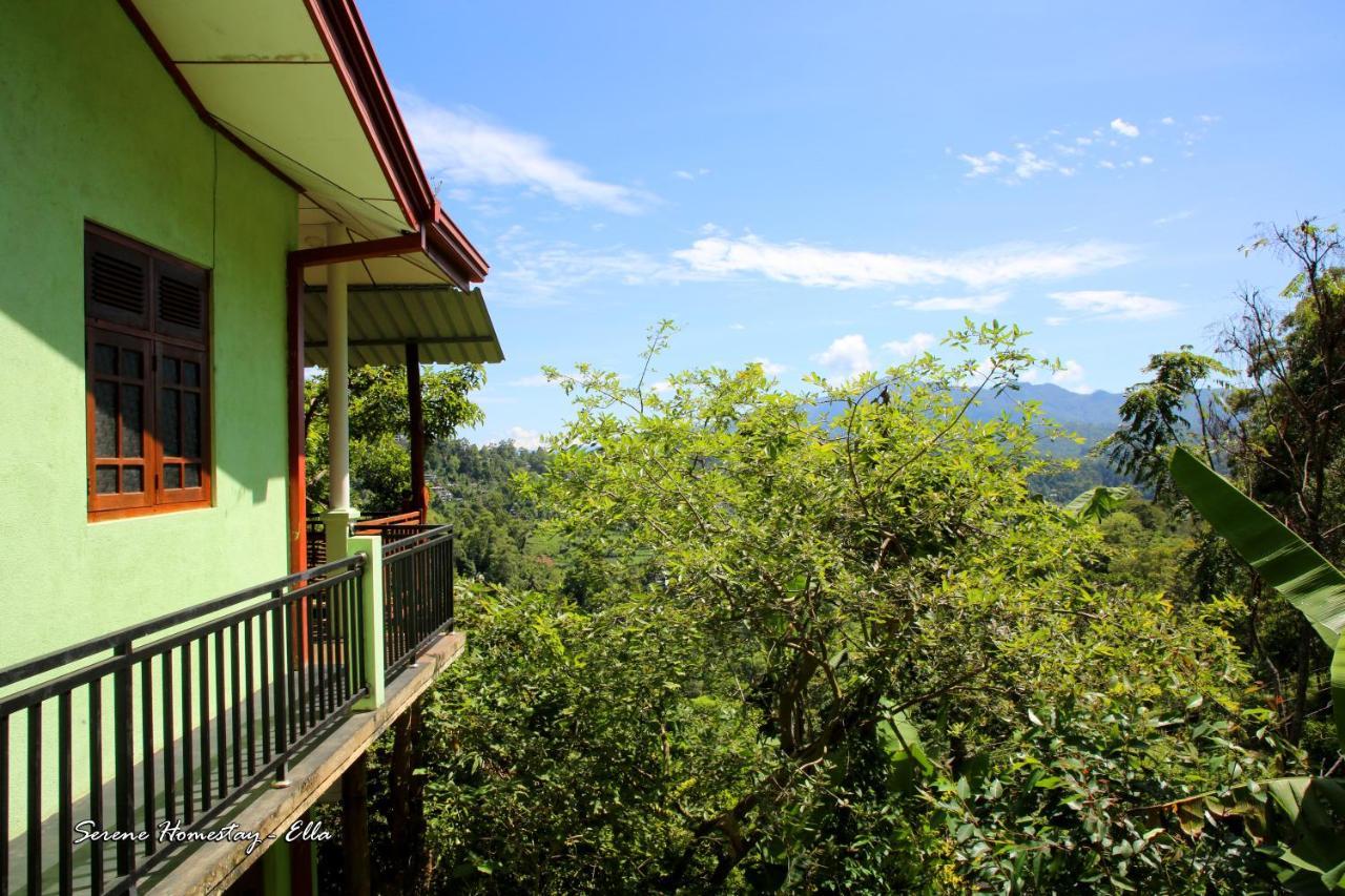 Serene Homestay Ella Zewnętrze zdjęcie